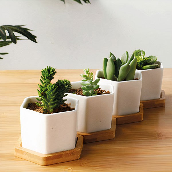 Succulent Planter, Small - Set of 3 - The Beaucoup Home