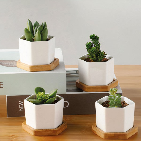 Succulent Planter, Small - Set of 3 - The Beaucoup Home