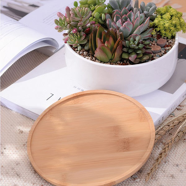 Succulent Planter -Round - The Beaucoup Home