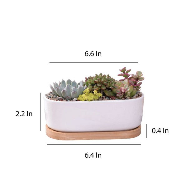 Succulent Planter - Elongated - The Beaucoup Home