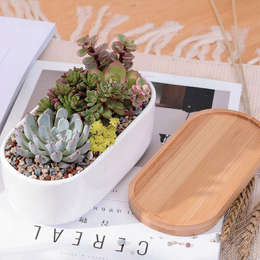 Succulent Planter - Elongated - The Beaucoup Home