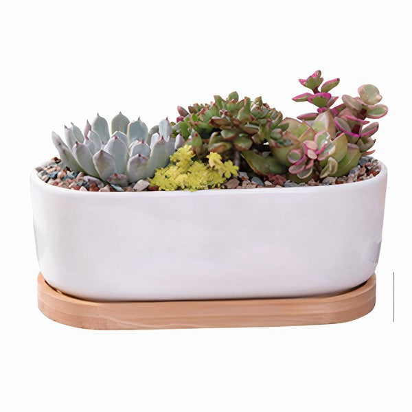 Succulent Planter - Elongated - The Beaucoup Home