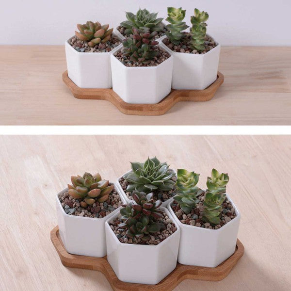 Beehive Planter - The Beaucoup Home