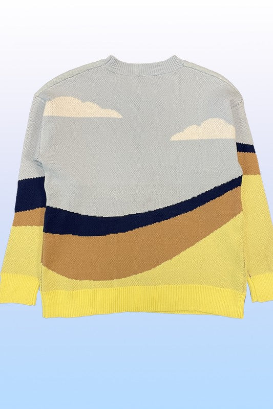 Roadrunner knit sweater