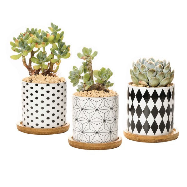 B&W Planters Set of 3 - The Beaucoup Home