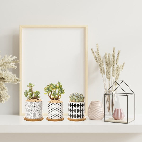 B&W Planters Set of 3 - The Beaucoup Home